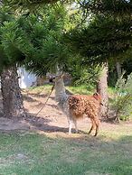 Quito Airport Suites