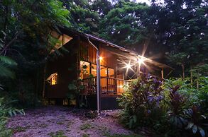 The Epiphyte Bed & Breakfast