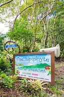 The Epiphyte Bed & Breakfast