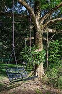 The Epiphyte Bed & Breakfast