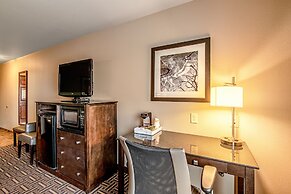 Spark by Hilton Glendive