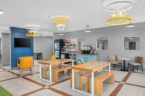 Spark by Hilton Minot