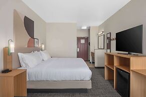 Spark by Hilton Minot