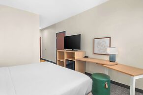 Spark by Hilton Minot