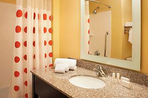 Towneplace Suites by Marriott Saginaw