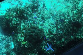 Grand Mercure Okinawa Cape Zanpa Resort