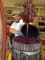 Agriturismo La Pietriccia