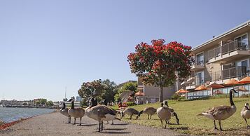 Best Western Plus Bayside Hotel