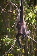 Las Lagunas Boutique Hotel