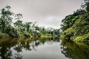 Sleeping Giant Rainforest Lodge
