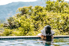 Sleeping Giant Rainforest Lodge