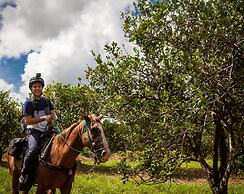 Sleeping Giant Rainforest Lodge