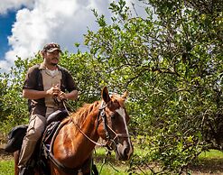 Sleeping Giant Rainforest Lodge