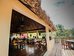 Sleeping Giant Rainforest Lodge