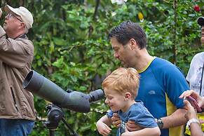 Sleeping Giant Rainforest Lodge