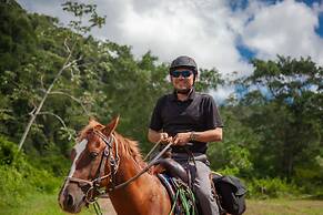 Sleeping Giant Rainforest Lodge
