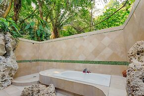 Sleeping Giant Rainforest Lodge