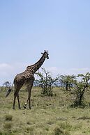 Olare Mara Kempinski Masai Mara