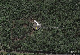 Volcano Rainforest Lodge