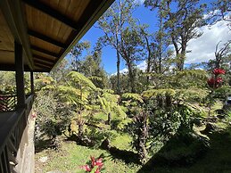 Volcano Rainforest Lodge