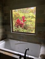 Volcano Rainforest Lodge