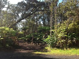 Volcano Rainforest Lodge