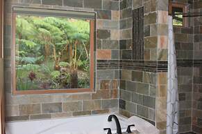 Volcano Rainforest Lodge