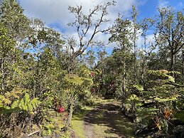 Volcano Rainforest Lodge