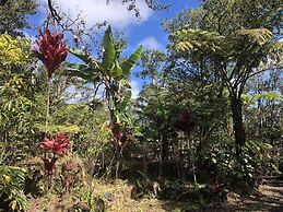 Volcano Rainforest Lodge
