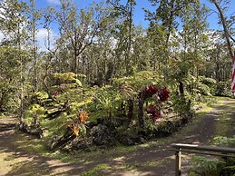 Volcano Rainforest Lodge