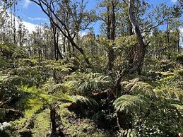 Volcano Rainforest Lodge