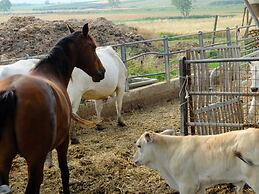 Agriturismo Al Girasole