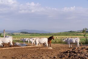 Agriturismo Al Girasole