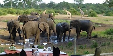 Elephant Valley Lodge