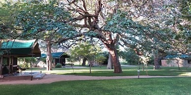 Elephant Valley Lodge