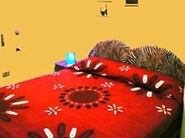 Riccione Beach Hotel