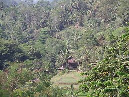 Sayan Terrace Resort