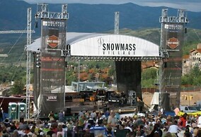 Snowmass Woodrun V 2 Bedroom Ski in, Ski out Mountain Residence in the