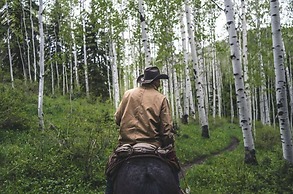 Downtown Aspen Luxury 3 Bedroom Residence