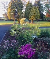 Cherry Tree Cottage Hillsborough - Moira