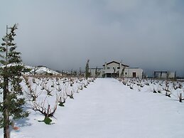 Luxurious Panoramic View Villa