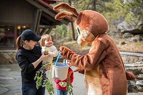 Sleeping Lady Mountain Resort