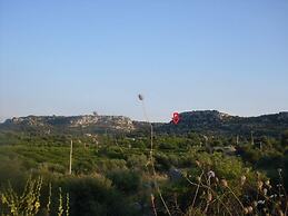 The Mountain Gardens