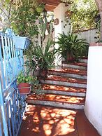 The Mountain Gardens