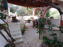 The Mountain Gardens