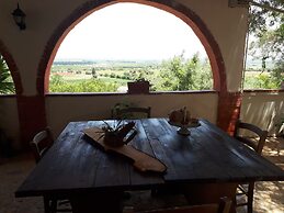 The Mountain Gardens