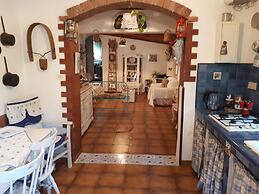 The Mountain Gardens