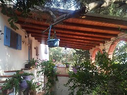 The Mountain Gardens