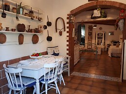 The Mountain Gardens