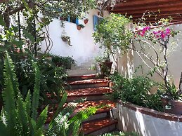 The Mountain Gardens